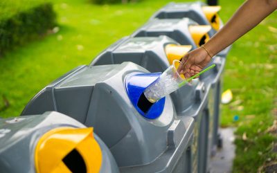 Bestway Carting Is Your Go-To for Garbage Removal in Brooklyn
