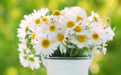 Fresh & Stunning Flower Arrangements at Glassing Florist in Eagan, MN